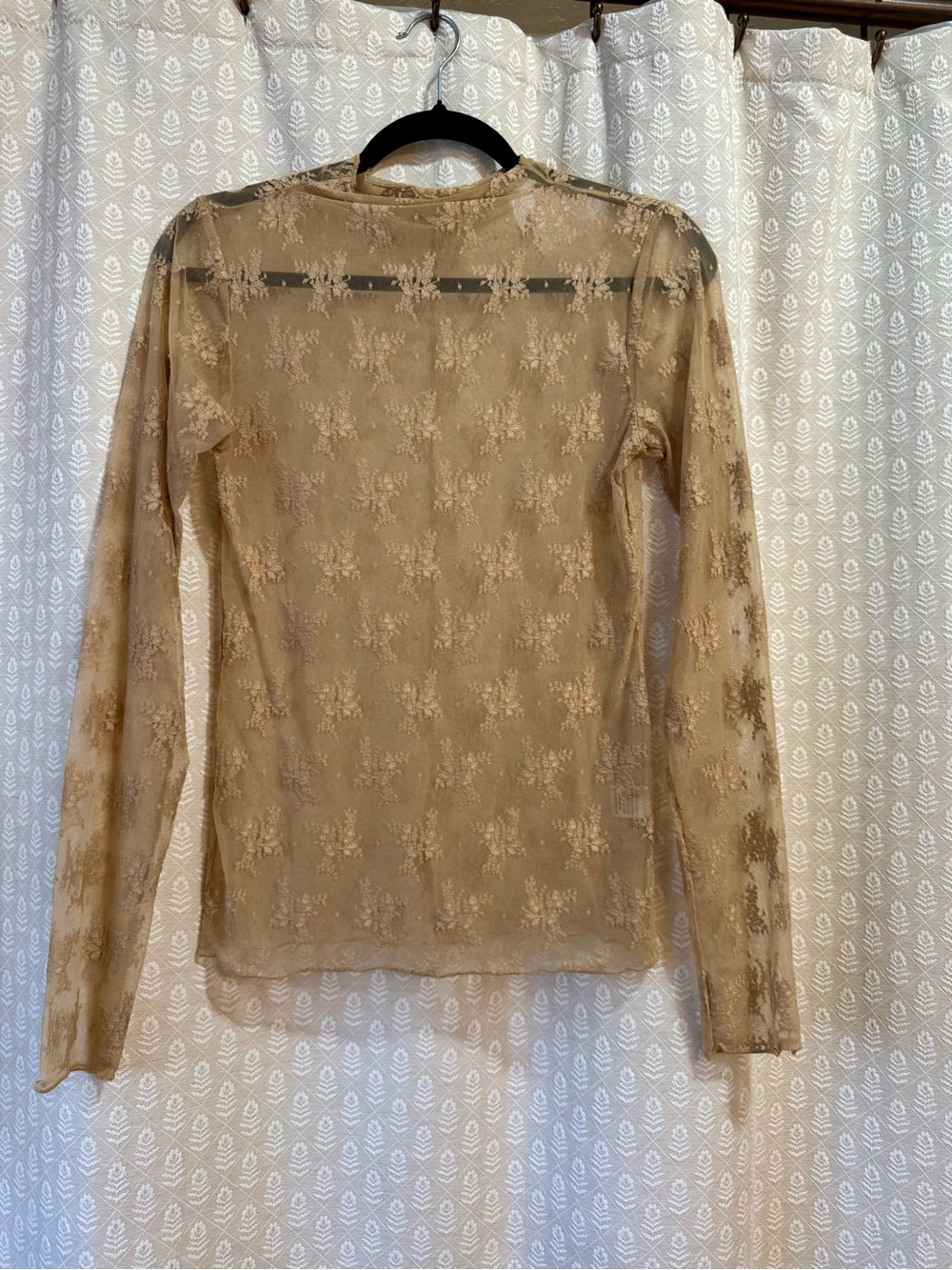 Amazon Beige Sheer Floral Lace Long-Sleeve Top